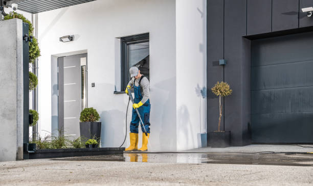 Best Vinyl Siding Pressure Washing in Greene, IA
